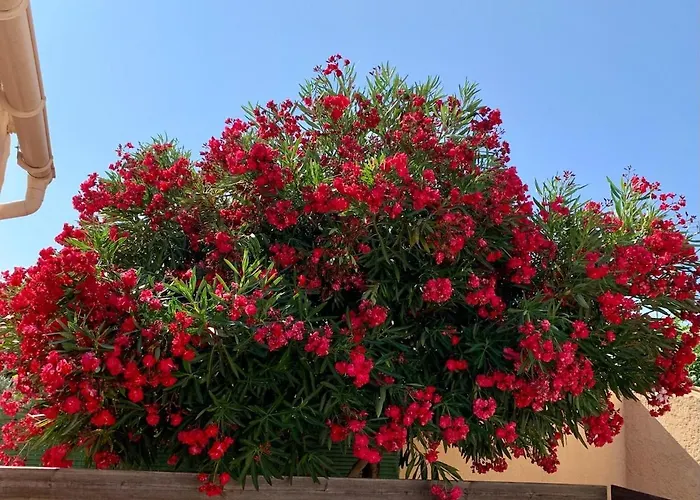 Charmante Maison Avec Sa Terrasse Au Soleil Διαμέρισμα